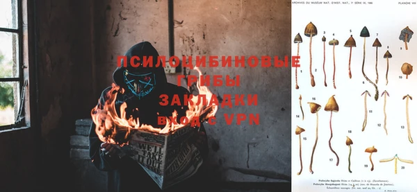 спиды Вязники
