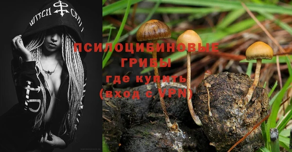 спиды Вязники