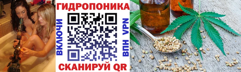 Каннабис план  Купить где  Иланский 